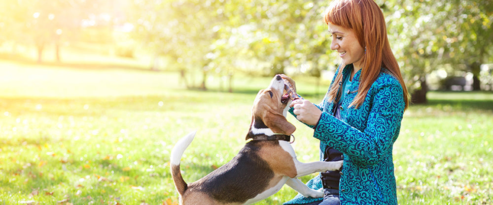 These tips make dog park visits SO much better