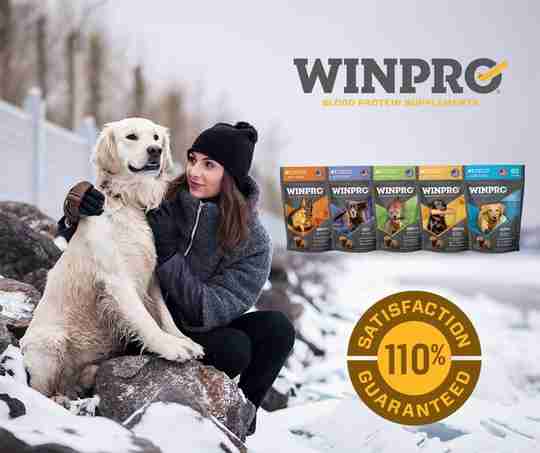 WINPRO POUCHES