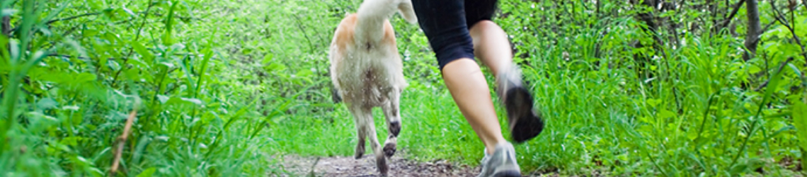 A man and a dog running together