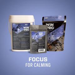 WINPRO Focus