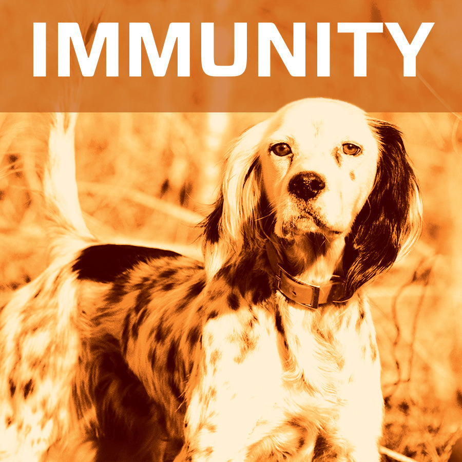 Immunity Reviews