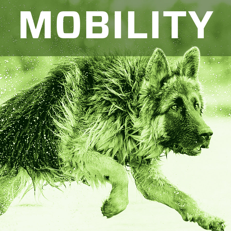 Mobility Reviews