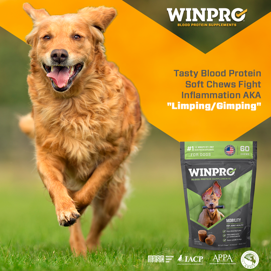 WINPRO IMMUNITY POUCHES