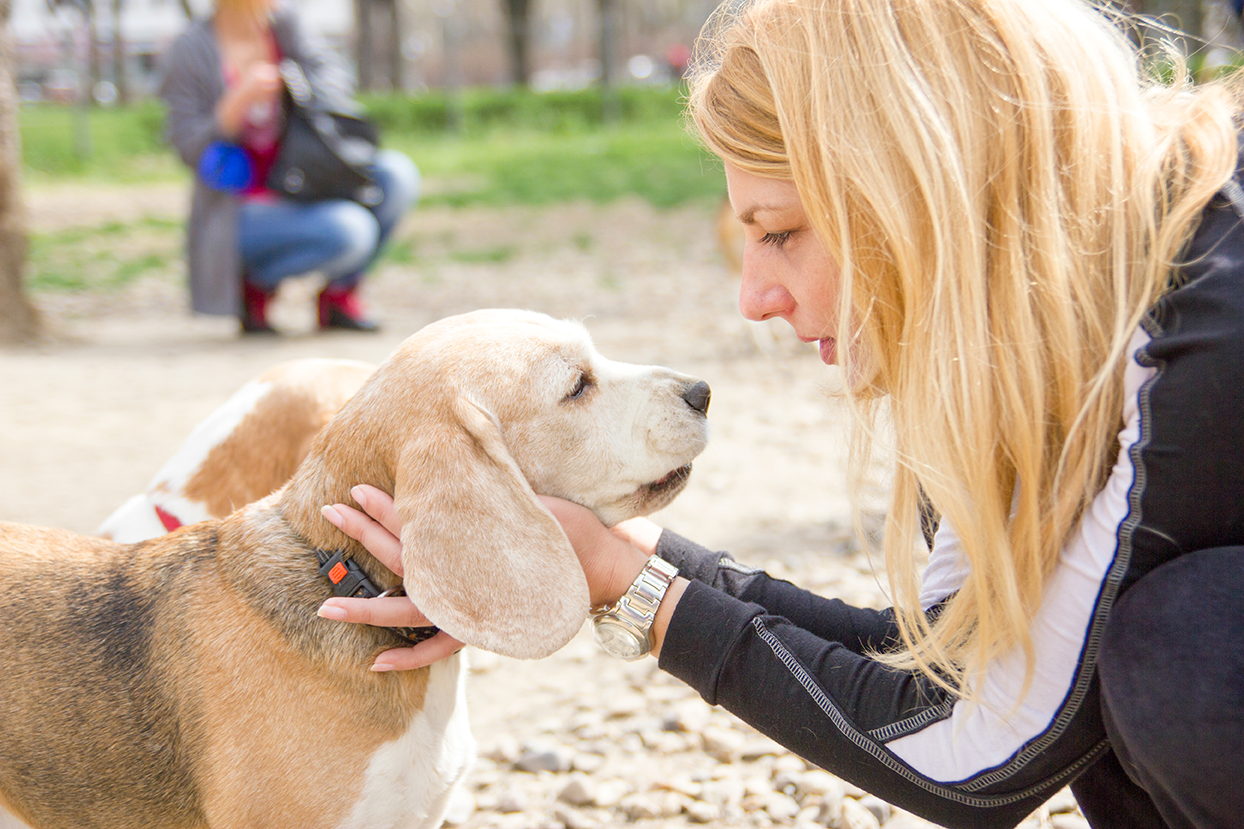 A lady talking to her dog