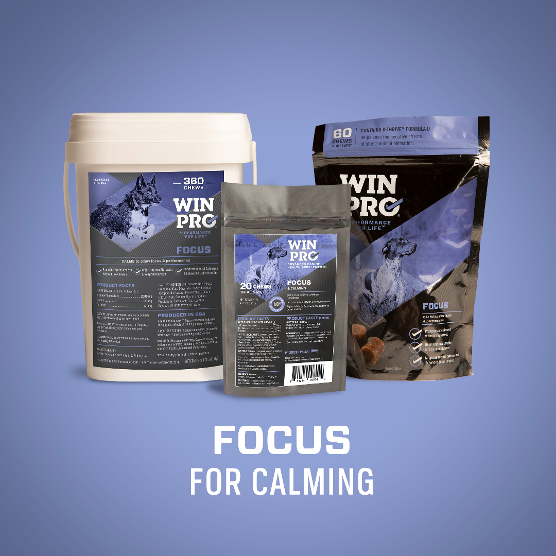 WINPRO Focus calming chews for dogs