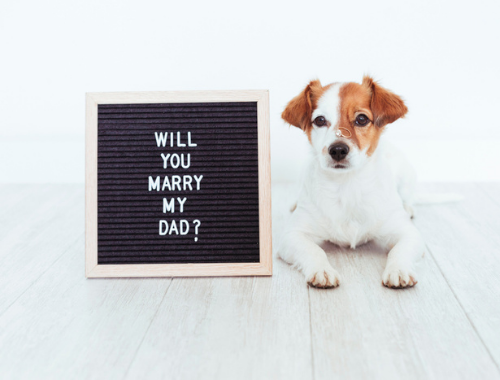 SIGN READING WILL YOU MARRY MY DAD NEXT TO DOG