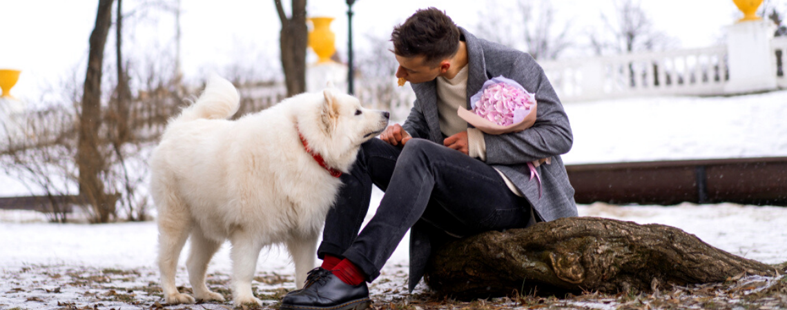 DOG OWNER READY TO PROPOSE