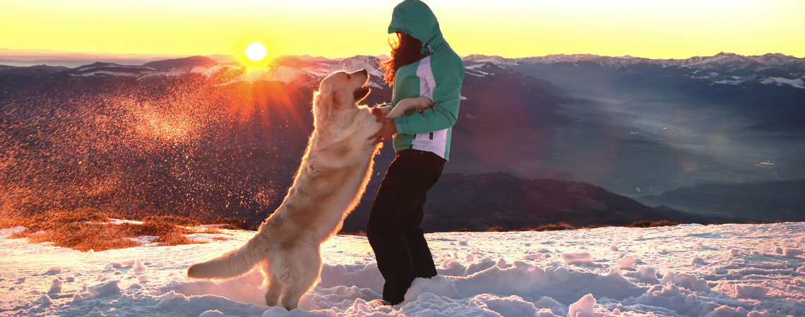 DOG JUMPING ON OWNER 