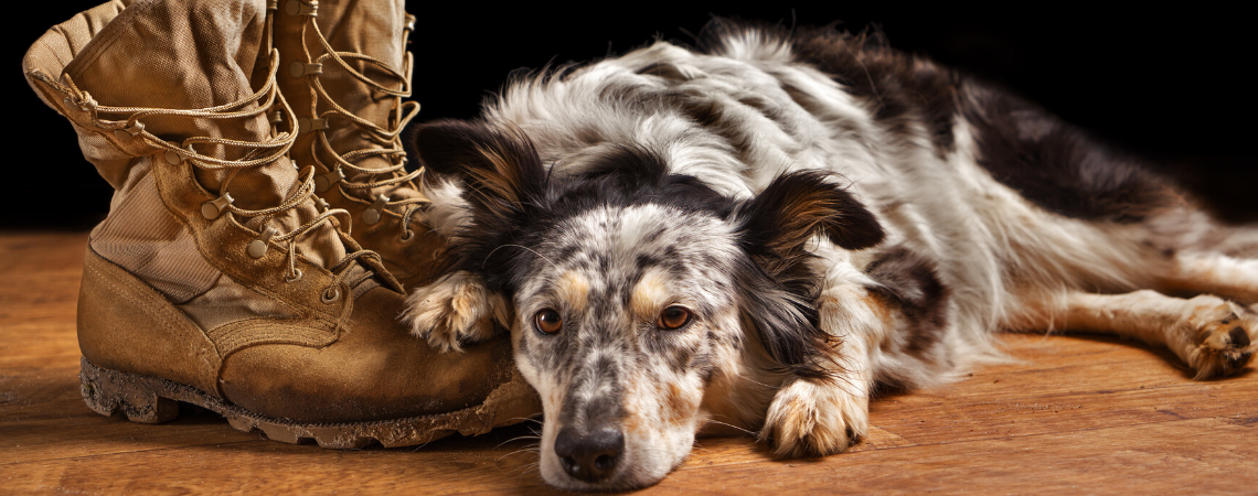 SERVICE DOG NEAR OWNER'S COMBAT BOOTS