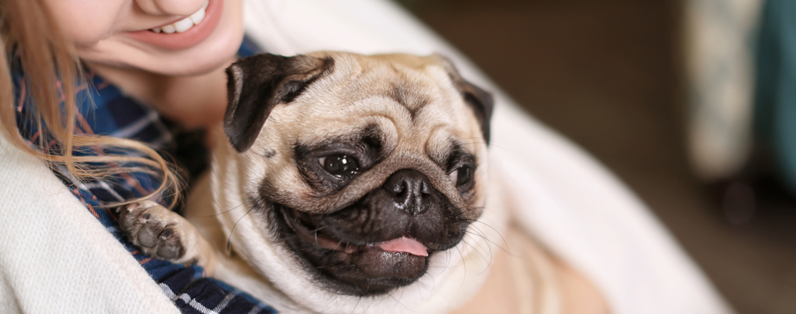 WOMAN HOLDING PET PUG