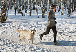 Dog jogging with owner in snow