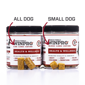 Health & Wellness: Small Dogs