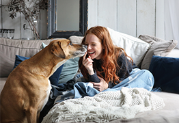 Dog and owner spending time together