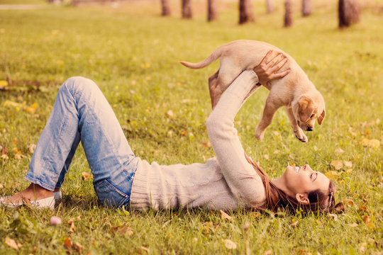 DOG OWNER HOLDING GOLDEN RETRIEVER PUPPY 