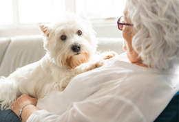 DOG WITH MOM ON COUCH