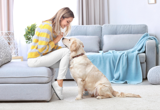 WOMAN SPENDING QUALITY TIME WITH DOG