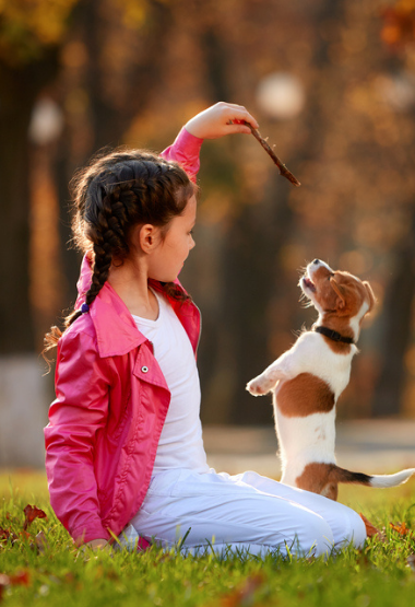 GIRL TEACHING DOG TRICKS