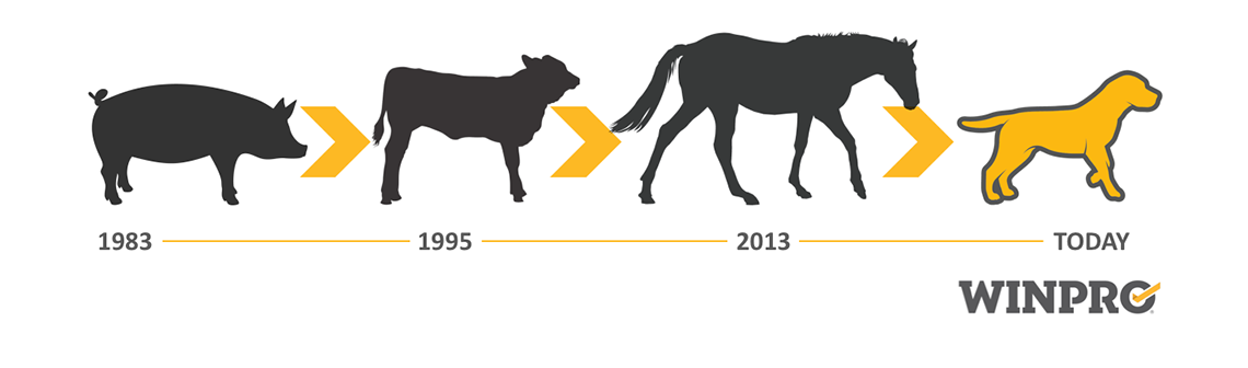 EVOLUTION OF THE USE OF BLOOD PROTEINS IN ANIMALS